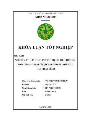 Khóa luận tốt nghiệp nghiên cứu phòng chống bệnh héo rũ gốc mốc trắng hại ớt sclerotium rolfsii tại thái bình