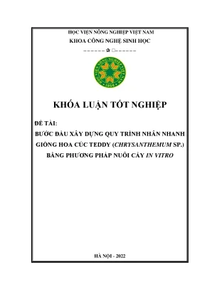 Bước đầu xây dựng quy trình nhân nhanh giống hoa cúc teddy chrysanthemum sp bằng phương pháp nuôi cấy in vitro khóa luận tốt nghiệp
