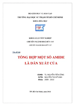 Khóa luận tốt nghiệp tổng hợp một số amide là dẫn xuất của