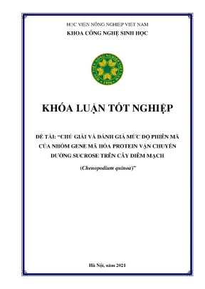 Chú giải và đánh giá mức độ phiên mã của nhóm gên mã hóa protein vận chuyển đường sucrose trên cây diêm mạch khóa luận tốt nghiệp