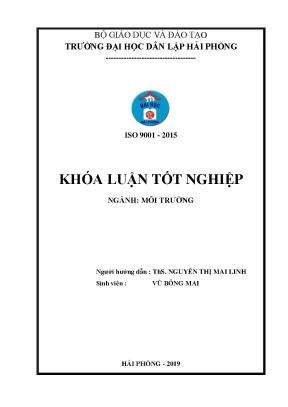 Khoá luận tốt nghiệp nghiên cứu các tác động đến môi trường từ hoạt động sản xuất giấy và đề xuất biện pháp giảm thiểu