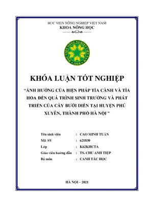 Khóa luận tốt nghiệp ảnh hưởng của biện pháp tỉa cành và tỉa hoa đến quá trình sinh trưởng và phát triển của cây bưởi diễn tại huyện phú xuyên thành phố hà nội