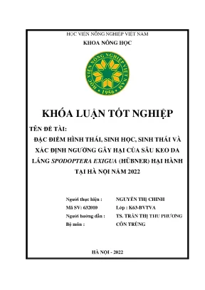 Đặc điểm hình thái sinh học sinh thái và xác định ngưỡng gây hại của sâu keo da láng spodoptera exigua hubner hại hành tại hà nội năm 2022 khoán luận tốt nghiệp