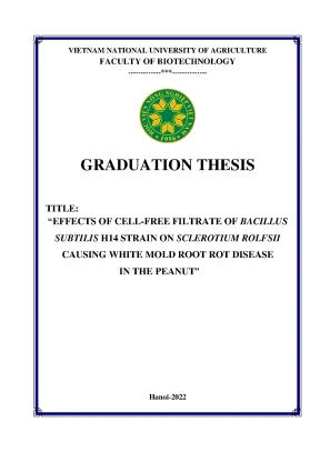 Effects of cell free filtrate of bacillus subtilis h14 strain on sclerotium rolfsii causing white mold root rot disease in the peanut khóa luận tốt nghiệp