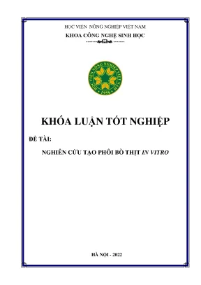 Nghiên cứu tạo phôi bò thịt in vitro khóa luận tốt nghiệp