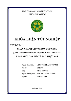 Khóa luận tốt nghiệp nhân nhanh giống hoa cúc vàng chrysanthemum indicum bằng phương pháp nuôi cấy mô tế bào thực vật