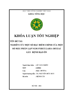 Khóa luận tốt nghiệp nghiên cứu nấm pyricularia oryzae gây bệnh đạo ôn hại lúa