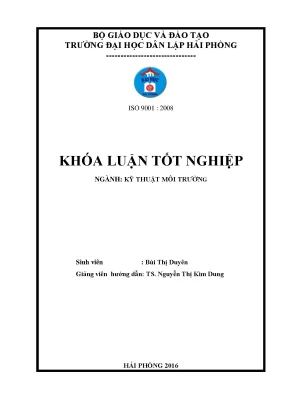 Khoá luận tốt nghiệp nghiên cứu khả năng xử lý nước thải sản xuất mắm của bãi lọc ngầm trồng cây cỏ nến dòng chảy ngang