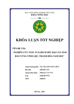 Nghiên cứu nấm fusarium spp hại cây sâm báo vùng vĩnh lộc thanh hóa năm 2021 khóa luận tốt nghiệp