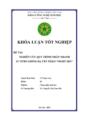 Khóa luận tốt nghiệp nghiên cứu quy trình nhân nhanh in vitro giống dạ yến thảo night sky