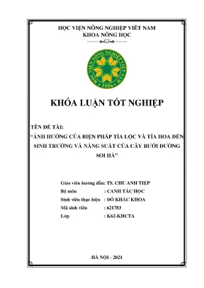 Khóa luận tốt nghiệp ảnh hưởng của biện pháp tỉa lộc và tỉa hoa đến sinh trưởng và năng suất của cây bưởi đường soi hà