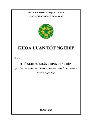 Khóa luận tốt nghiệp thử nghiệm nhân giống lồng đèn fuchsia magellanica bằng phương pháp nuôi cấy mô