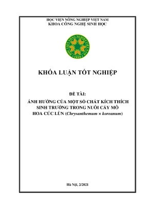 Ảnh hưởng của một số chất kích thích sinh trưởng trong nuôi cấy mô hoa cúc lùn chrysanthemum x koreanum khóa luận tốt nghiệp