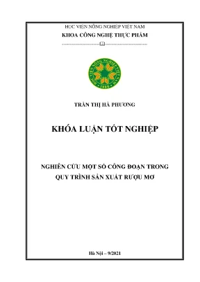 Khóa luận tốt nghiệp nghiên cứu một số công đoạn trong quy trình sản xuất rượu mơ