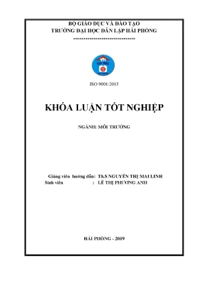 Khoá luận tốt nghiệp nghiên cứu các tác động đến môi trường từ hoạt động sản xuất giày da và đề xuất biện pháp giảm thiểu