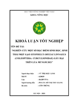 Nghiên cứu một số đặc điểm sinh học sinh thái mọt gạo sitophilus oryzae linnaeus coleoptera curculionnidae gây hại trên lúa mì năm 2021 khóa luận tốt nghiệp