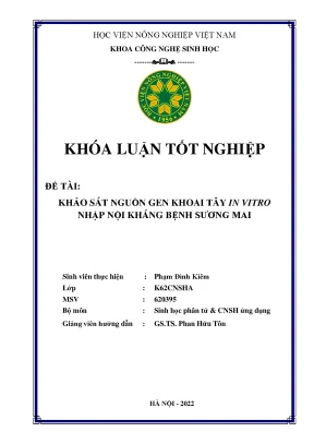 Khảo sát nguồn gen khoai tây in vitro nhập nội kháng bệnh sương mai khóa luận tốt nghiệp