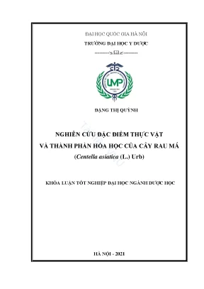 Khóa luận tốt nghiệp nghiên cứu đặc điểm thực vật và thành phần hóa học của cây rau má centella asiatica l urb