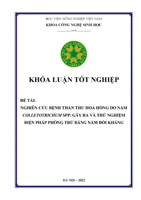 Nghiên cứu bệnh thán thư hoa hồng do nấm colletotrichum spp gây ra và thử nghiệm biện pháp phòng trừ bằng nấm đối kháng khóa luận tốt nghiệp