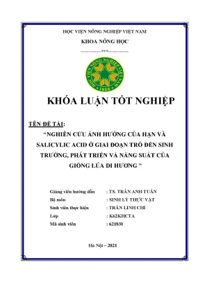 Khóa luận tốt nghiệp nghiên cứu ảnh hưởng của hạn và salicylic acid ở giai đoạn trổ đến sinh trưởng phát triển và năng suất của giống lúa di hương