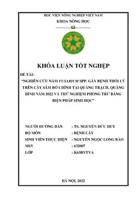 Nghiên cứu nấm fusarium spp gây bệnh thối củ trên cây sâm bố chính tại quảng trạch quảng bình năm 2022 và thử nghiệm phòng trừ bằng biện pháp sinh học khoán luận tốt nghiệp
