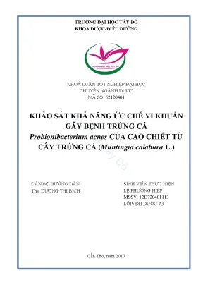 Khóa luận tốt nghiệp dược sĩ đại học khảo sát khả năng ức chế vi khuẩn gây bệnh mụn trứng cá propionibacterium acnes của cao chiết từ cây trứng cá muntingia calabura l