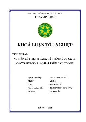 Khóa luận tốt nghiệp nghiên cứu bệnh vàng lá thối rễ pythium cucurbitacearum hại trên cây có múi