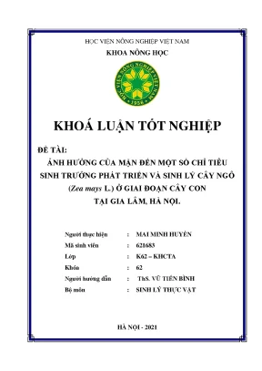 Khóa luận tốt nghiệp ảnh hưởng của mặn đến một số chỉ tiêu sinh trưởng phát triển và sinh lý cây ngô zea mays l ở giai đoạn cây con tại gia lâm hà nội