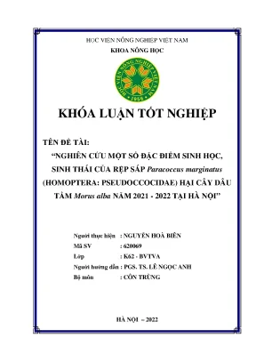 Nghiên cứu một số đặc điểm sinh học sinh thái của rệp sáp paracoccus marginatus homoptera pseudoccocidae hại cây dâu tằm morus alba năm 2021 2022 tại hà nội khoán luận tốt nghiệp