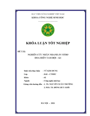 Khóa luận tốt nghiệp nghiên cứu nhân nhanh in vitro hoa hiên tam bội k1