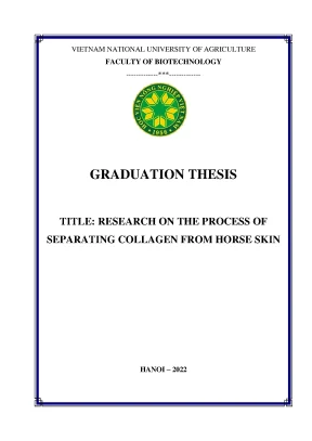 Research on the process of separating collagen from horse skin khóa luận tốt nghiệp