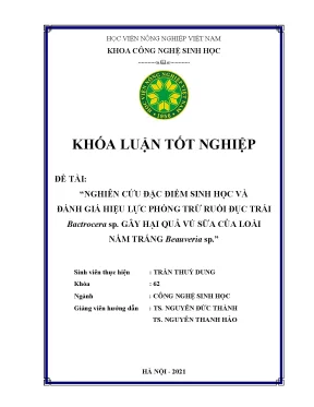 Khóa luận tốt nghiệp nghiên cứu đặc điểm sinh học và đánh giá hiệu lực phòng trừ ruồi đục trái bactrocera sp gây hại quả vú sữa của loài nấm trắng beauveria sp