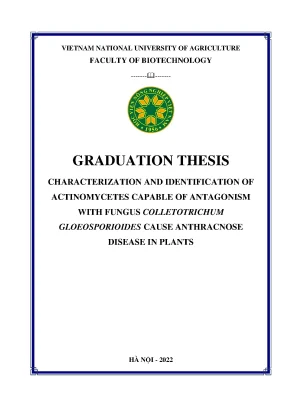 Characterization and identification of actinomycetes capable of antagonism with fungus colletotrichum gloeosporioides cause anthracnose disease in plants khóa luận tốt nghiệp