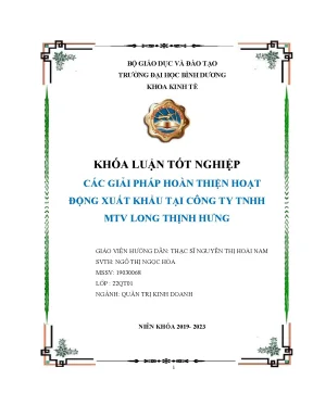 Các giải pháp hoàn thiện hoạt động xuất khẩu tại công ty tnhh mtv long thịnh hưng khóa luận tốt nghiệp
