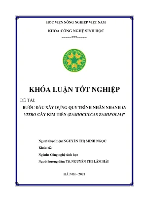 Bước đầu xây dựng quy trình nhân nhanh in vitro cây kim tiền zamioculcaszamifollia khóa luận tốt nghiệp