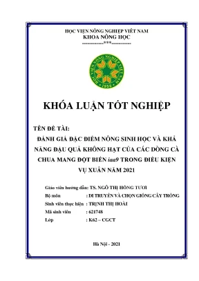 Đánh giá đặc điểm nông sinh học và khả năng đậu quả không hạt của các dòng cà chua mang đột biến iaa9 trong điều kiện vụ xuân năm 2021 khóa luận tốt nghiệp