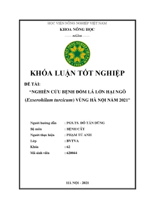 Nghiên cứu bệnh đốm lá lớn hại ngô exserohilum turcicum vùng hà nội năm 2021 khóa luận tốt nghiệp