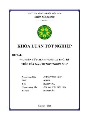 Khóa luận tốt nghiệp nghiên cứu bệnh vàng lá thối rễ trên cây na phytophthora sp