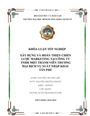 Xây dựng và hoàn thiện chiến lược marketing tại công ty tnhh một thành viên thương mại dịch vụ xuất nhập khẩu tân phú khóa luận tốt nghiệp