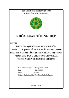 Đánh giá qtl kháng nảy mầm sớm trước gặt qpsr7 và ngắn ngày qsgd1 trong điều kiện canh tác tại miền trung việt nam nhằm ứng dụng chọn tạo giống lúa thích nghi với biến đổi khí hậu khóa luận tốt nghiệp