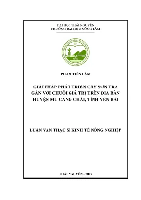 Luận văn giải pháp phát triển sơn tra gắn với chuỗi giá trị trên địa bàn huyện mù cang chải tỉnh yên bái