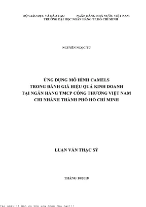 Ứng dụng mô hình camels trong đánh giá hiệu quả kinh doanh tại ngân hàng tmcp công thương việt nam chi nhánh thành phố hồ chí minh luận văn thạc sĩ kinh tế