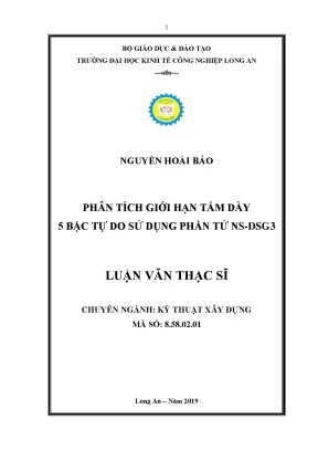 Luận văn phân tích giới hạn tấm dày 5 bậc tự do sử dụng phần tử ns dsg3