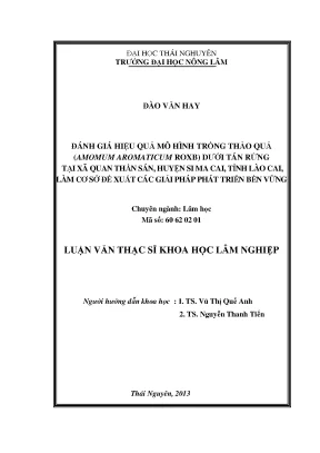Luận văn đánh giá hiệu quả hiệu quả mô hình trồng thảo quả amomum aromaticum roxb dưới tán rừng tại xã quan thần sán huyện si ma cai lào cai làm cơ sở đề xuất các giải pháp phát triển bền vững