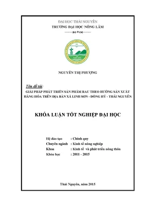 Luận văn giải pháp phát triển sản phẩm rau theo hướng sản xuất hàng hóa trên địa bàn xã linh sơn đồng hỷ thái nguyên