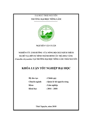 Luận văn nghiên cứu ảnh hưởng của nồng độ chất kích thích naa đến sự hình thành hom cây trà hoa vàng camellia chrysantha tại trường đại học nông lâm thái nguyên
