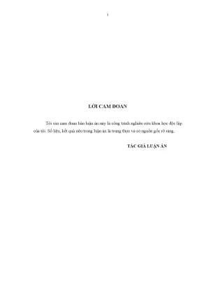 Luận án tiến sĩ thúc đẩy xuất khẩu vào thị trường eu của các doanh nghiệp giầy dép trên địa bàn hà nội