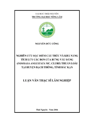 Luận văn thạc sĩ nghiên cứu đặc điểm cấu trúc và khả năng tích lũy các bon của rừng vầu đắng indosasa angustata mc clure thuần loài tại huyện bạch thông tỉnh bắc kạn
