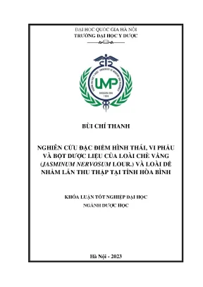 Luận văn nghiên cứu đặc điểm hình thái vi phẫu và bột dược liệu loài chè vằng jasminum nervosum lour và loài nhầm lẫn thu thập tại tỉnh hòa bình