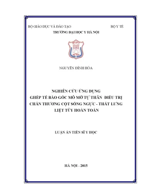 Luận án tiến sĩ nghiên cứu ứng dụng ghép tế bào gốc mô mỡ tự thân điều trị chấn thương cột sống ngực thắt lưng liệt tủy hoàn toàn